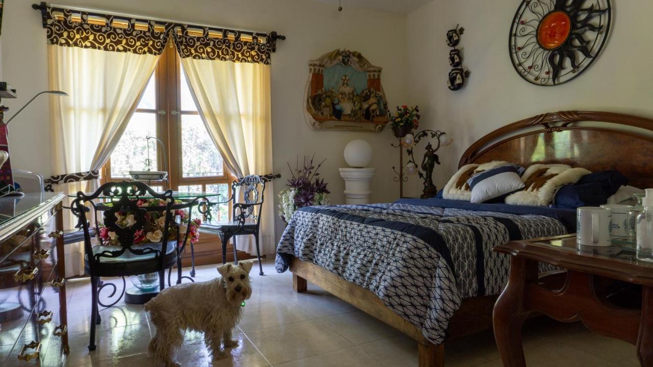 El Jardin Del Eden B&B Boutique Cuernavaca Exteriér fotografie