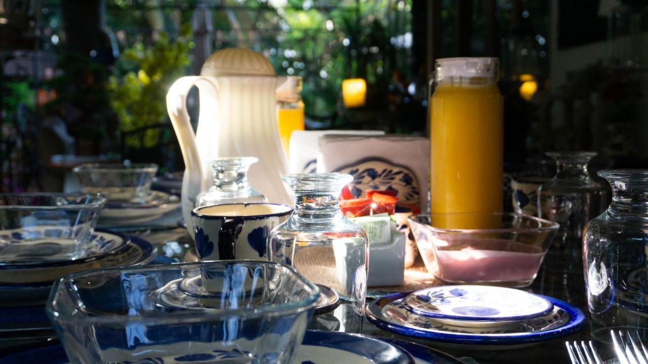 El Jardin Del Eden B&B Boutique Cuernavaca Exteriér fotografie