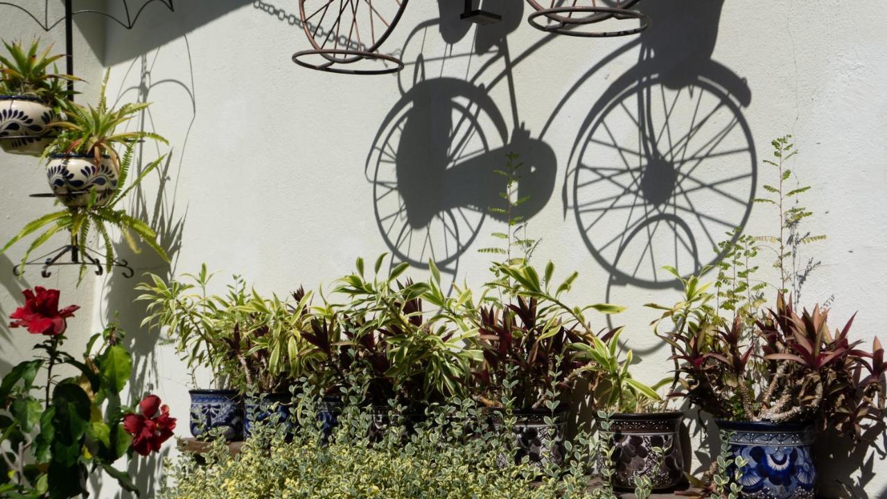 El Jardin Del Eden B&B Boutique Cuernavaca Exteriér fotografie