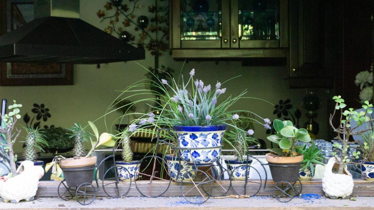 El Jardin Del Eden B&B Boutique Cuernavaca Exteriér fotografie