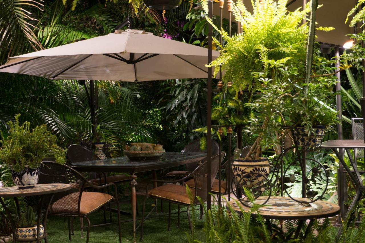 El Jardin Del Eden B&B Boutique Cuernavaca Exteriér fotografie
